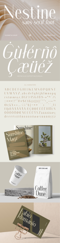 The Diverse Sans Serif Collection