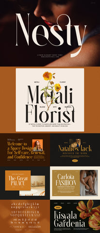 The Striking Serif Font Collection
