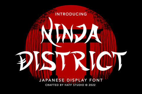 Ninja District