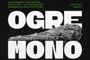 Ogre Mono Grotesk Display