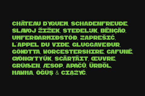 Ogre Mono Grotesk Display