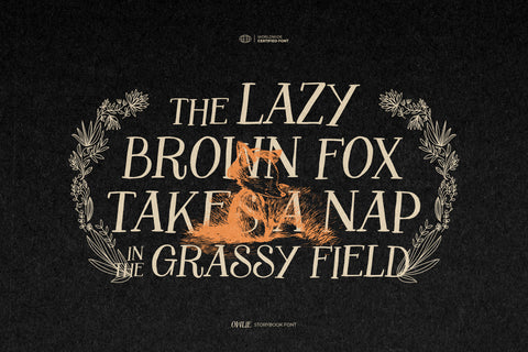 Owlie - Storybook Font