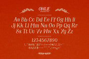 Owlie - Storybook Font