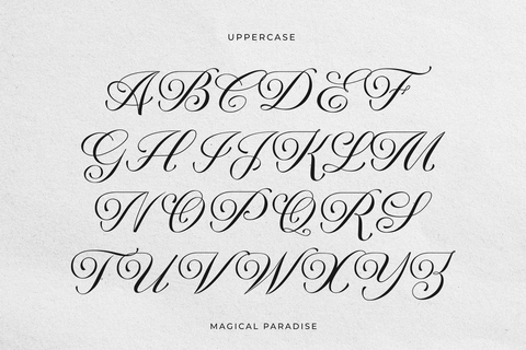 Magical Paradise