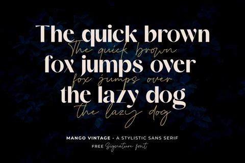 Mango Vintage