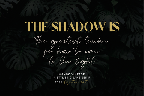 Mango Vintage