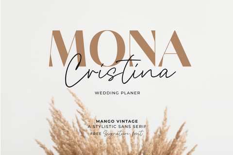 Mango Vintage