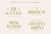 Branch