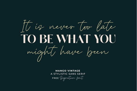 Mango Vintage