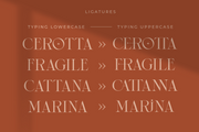 Cerotta