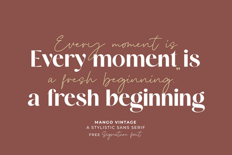 Mango Vintage