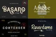 VT Treasure Font Bundle