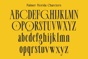 Palmer Florida