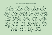 Milova Violatte