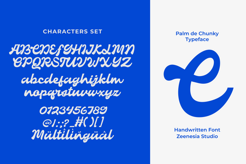Palm de Chunky
