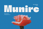 Marine Elmoure