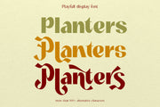 Playka - Display Family Font