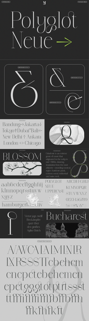 The Elegant Type Collection