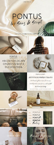 The Farmers Market Font Bundle