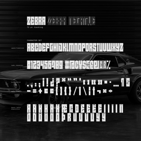 Zebra - Experimental Display Font