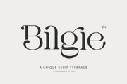 Bilgie