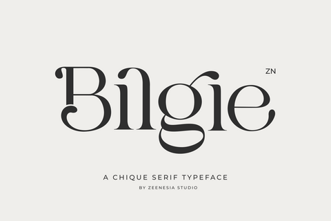Bilgie