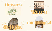 Modern Serif & Sans Serif Bundle