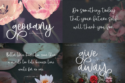The Modern Script Font Bundle