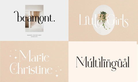 Modern Serif & Sans Serif Bundle