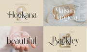 Modern Serif & Sans Serif Bundle