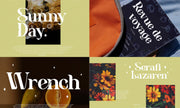 Modern Serif & Sans Serif Bundle