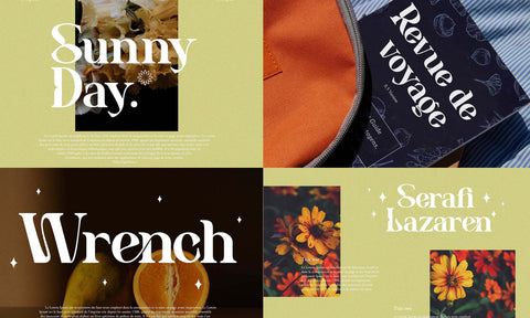 Modern Serif & Sans Serif Bundle