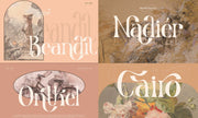 Modern Serif & Sans Serif Bundle