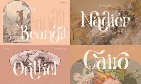 Modern Serif & Sans Serif Bundle