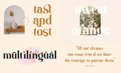 Modern Serif & Sans Serif Bundle