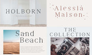 Modern Serif & Sans Serif Bundle