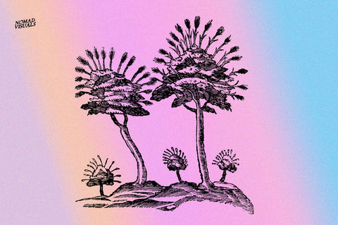 Prodigiorum Naturae - Illustrations