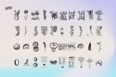 Prodigiorum Naturae - Illustrations