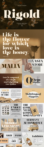 The Unique Serif Font Bundle