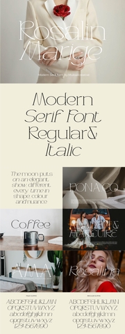 The Unique Serif Font Bundle