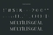 Carmila - Free Modern Serif Font