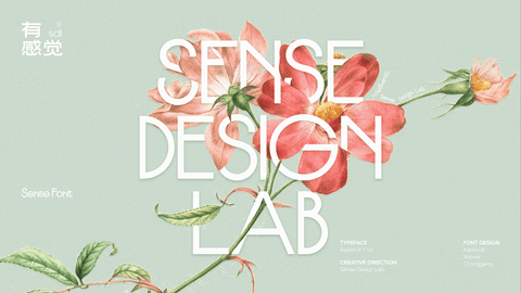 Sense - Free Sans Serif Display Font - Pixel Surplus