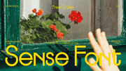 Sense - Free Sans Serif Display Font