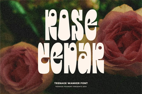 Teenage Wanker - Display Font