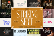 The Striking Serif Font Collection