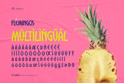 The Flemingos - Tropical Summer Font