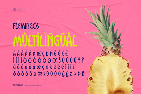 The Flemingos - Tropical Summer Font