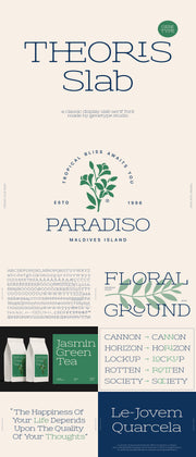 The Striking Serif Font Collection