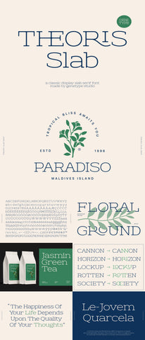 The Striking Serif Font Collection