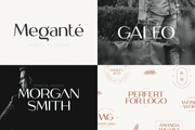 Unique & Classy Modern Font Bundle